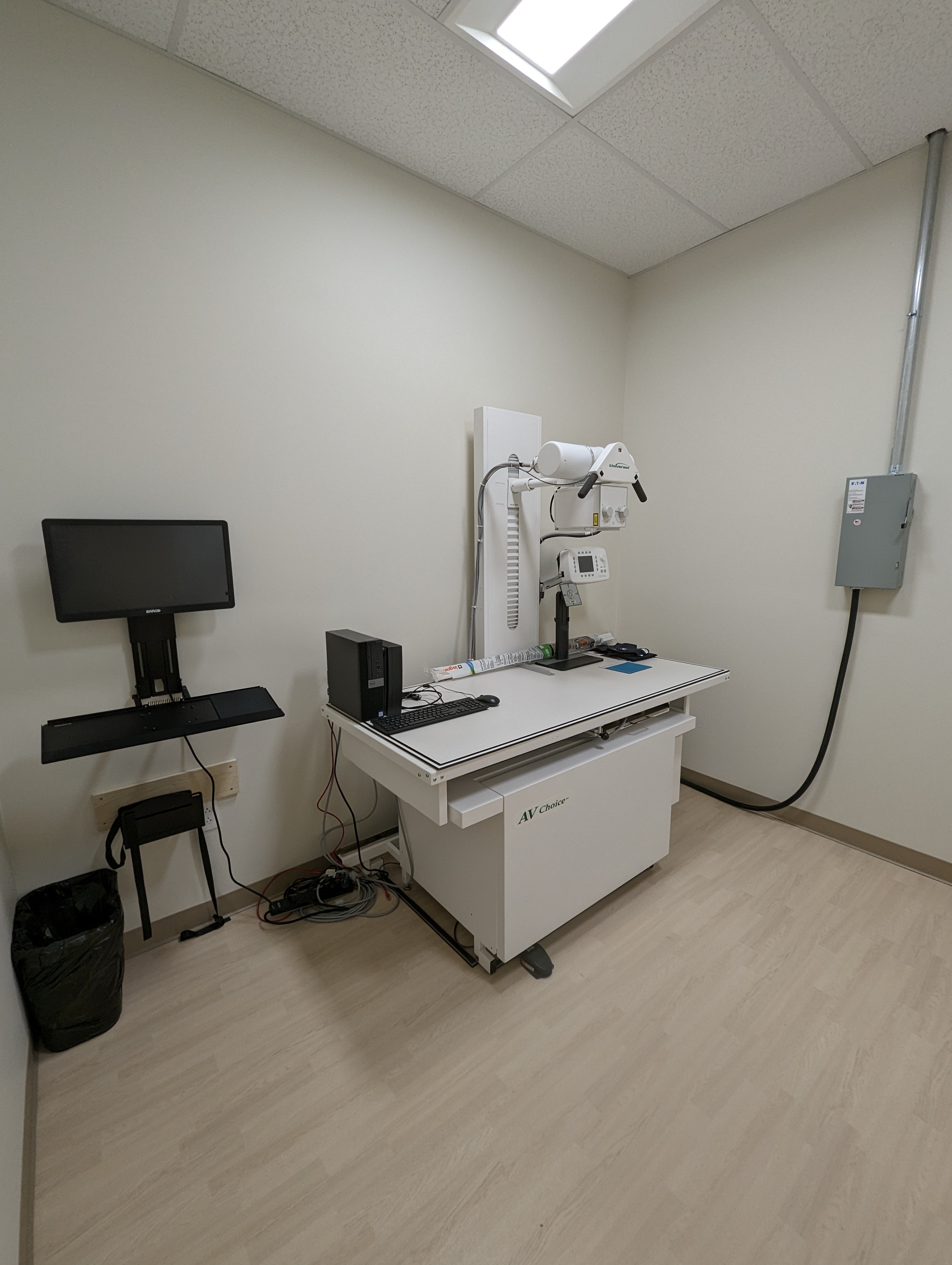 Pets - langhorne-pets-furst